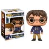 Imagen de Harry Potter Funko Pop de la colección Harry Potter